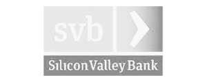 SVB Logo